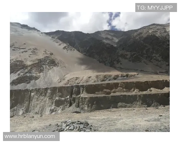 深度对话：探索张娜在和平精英中的成长与挑战之路