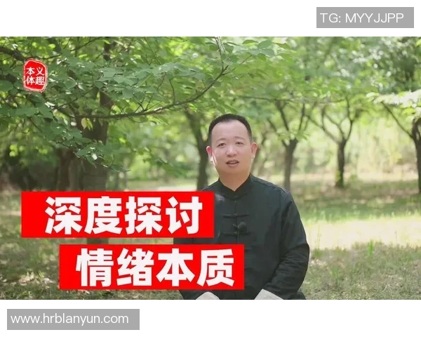 深圳滑板队的默契配合与战术分析深度探讨